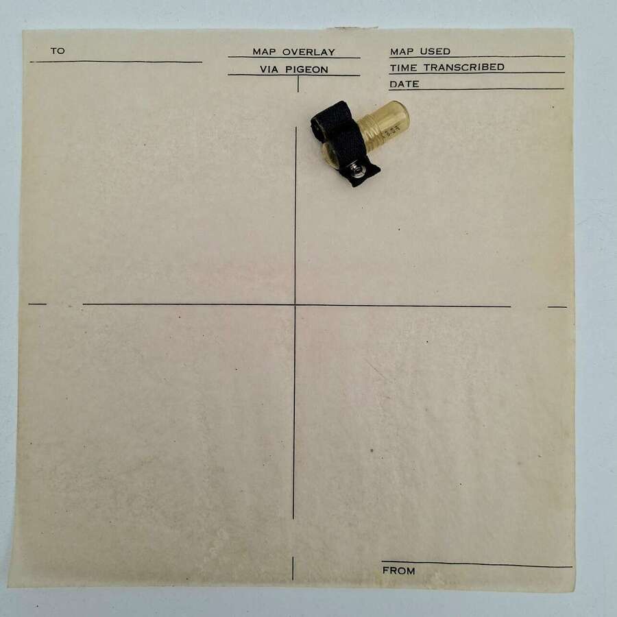 WW2 carrier pigeon capsule and message form